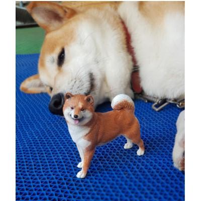 柯基公仔 柯基模型 柯基擺飾 柴犬公仔-細節圖9