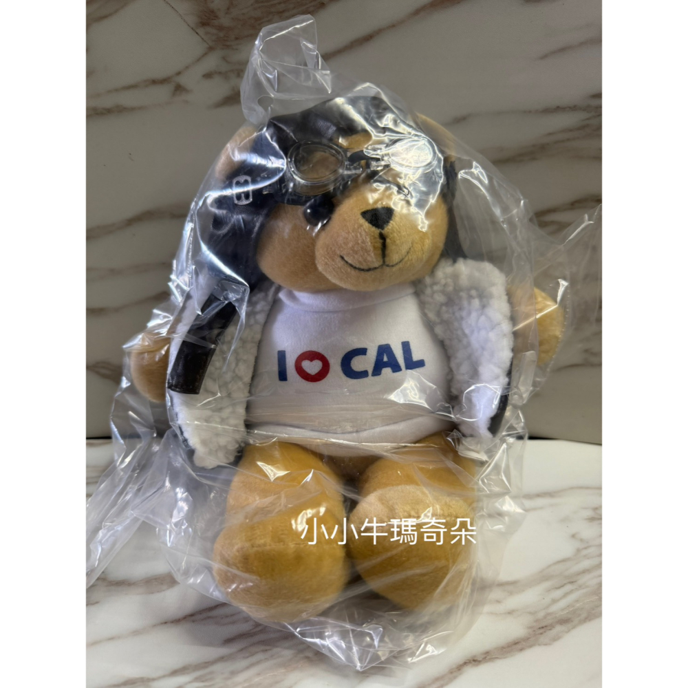 ~小小牛瑪奇朵~CAL中華航空CHINA AIRLINES 華航機師熊布偶 飛行小熊玩偶-細節圖6