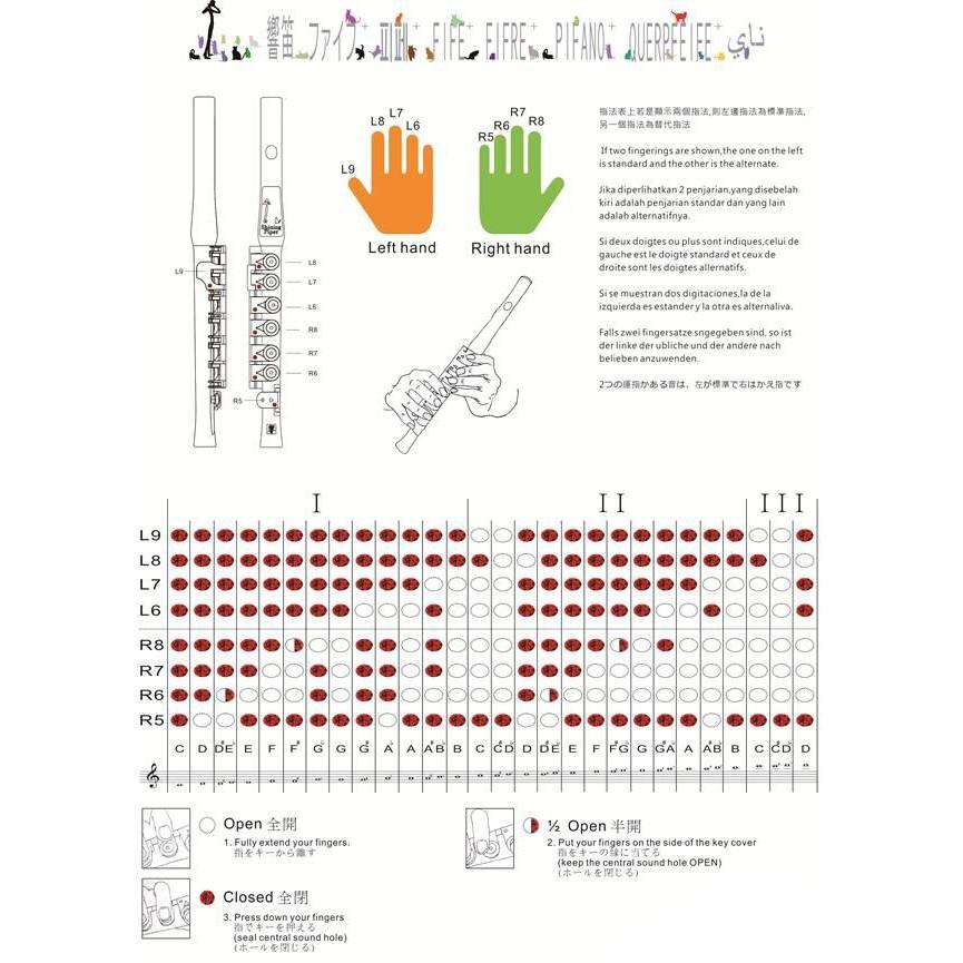 台灣製 GUO Shining Piper 響笛 入門長笛 兒童長笛 FIFE JFlute 搭配施華洛世奇水鑽 彩色-細節圖3