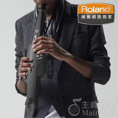 【公司貨】ROLAND AE-10 Aerophone 數位薩克斯風 數位吹管 薩克斯風 AE10 原廠公司貨保固 黑色