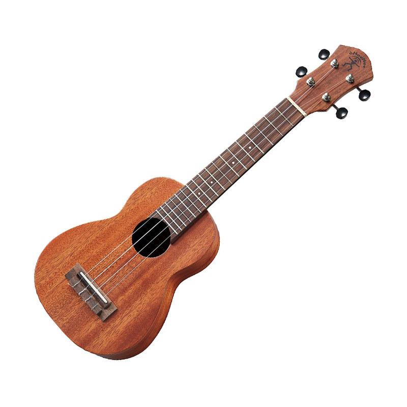 【恩心樂器】aNueNue 夏威夷夢 U1 21吋 合板桃花心木 烏克麗麗 彩虹人  ukulele 保固一年-細節圖2