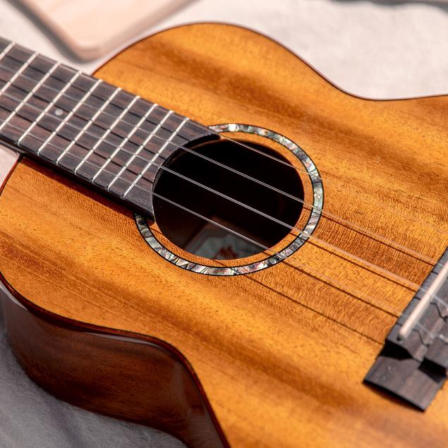 【恩心樂器】aNueNue 彩虹人 夏威夷夢 AC30 23吋 烏克麗麗 全單板桃花心木 原聲版 保固一年-細節圖2