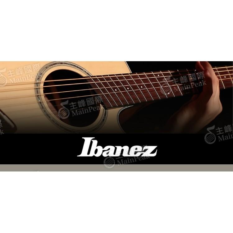 【恩心樂器批發】日本 Ibanez CAPO 快速移調夾 夾式 民謠吉他 電吉他專用 IGC-10 IGC10-細節圖2