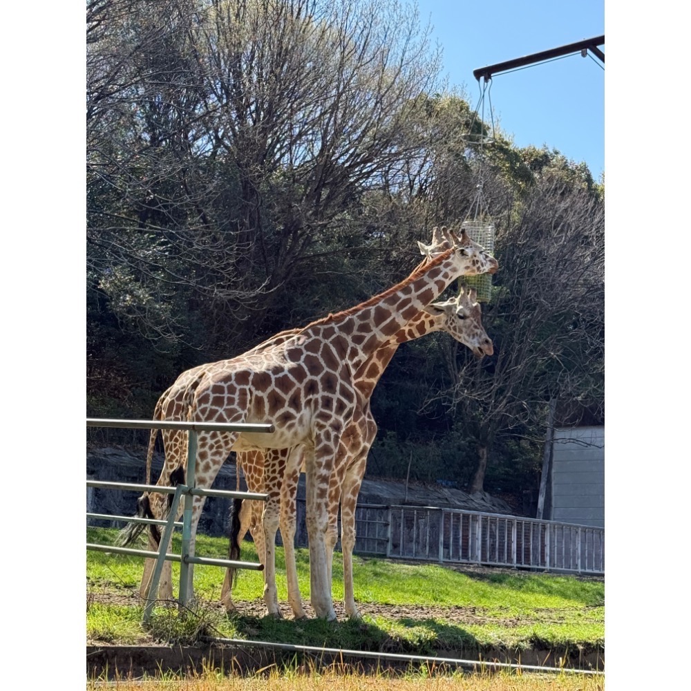 日本連線-規格圖1