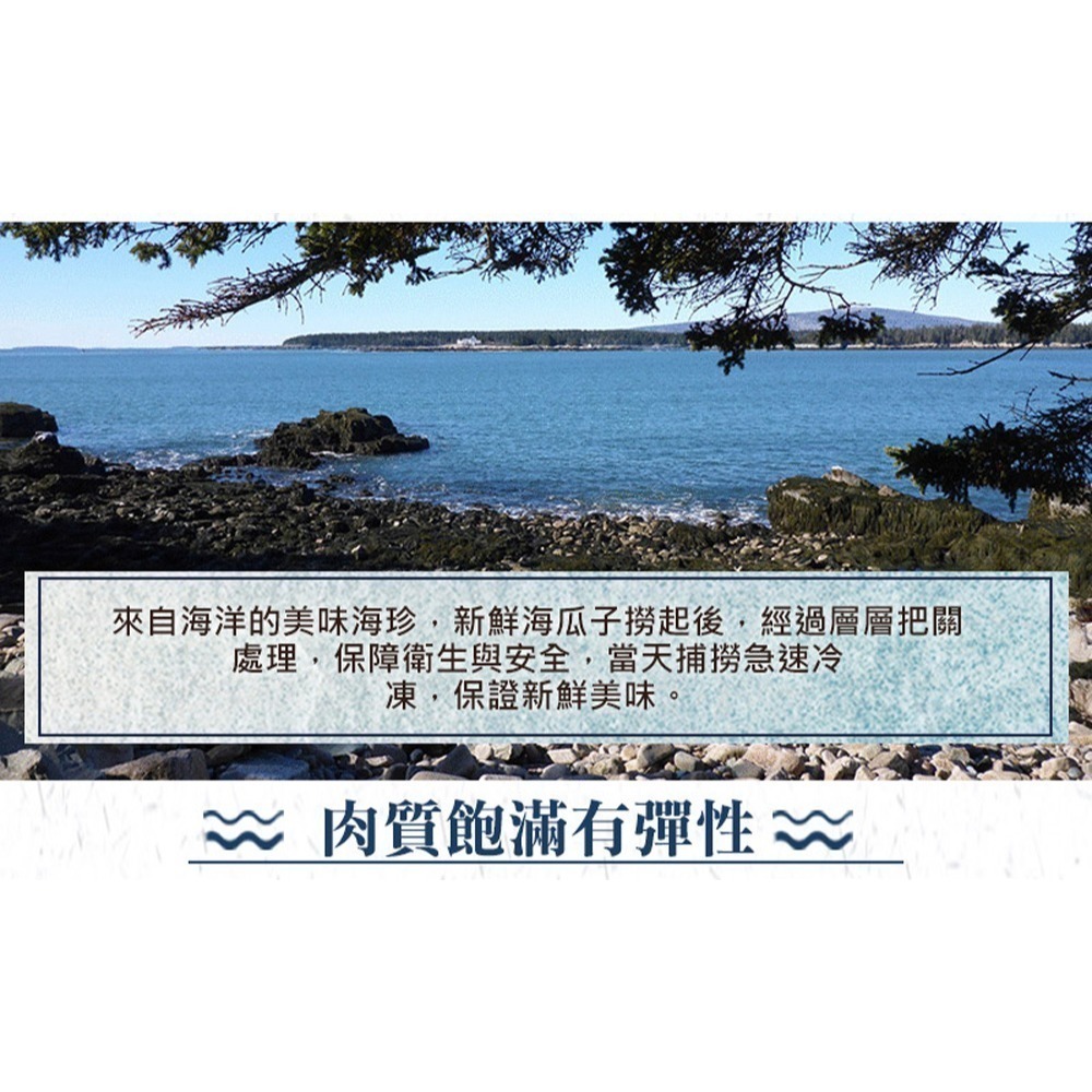 好神-去殼海瓜子清肉(1000g/包)-細節圖3