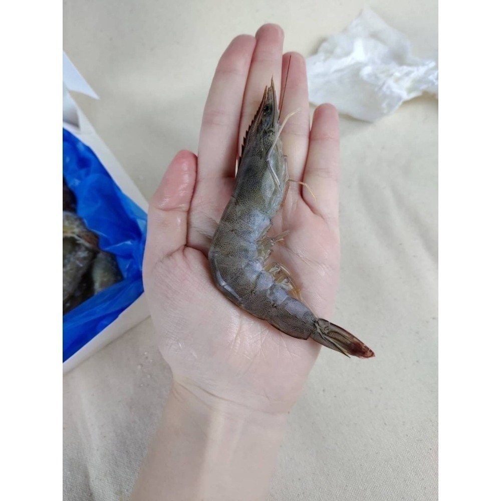 好神-南美鮮凍白蝦(850g/50~60/盒)-細節圖4