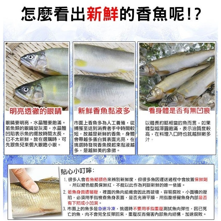 好神-宜蘭淨水養殖公香魚(1kg/包)-細節圖3