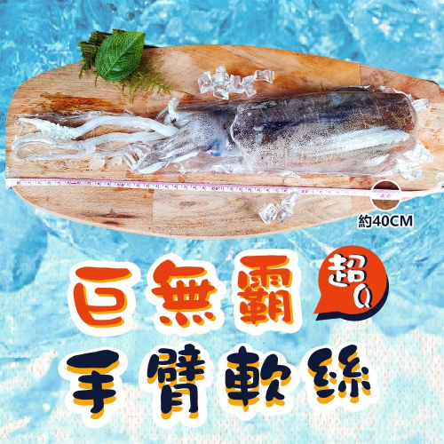 好神-巨無霸軟絲(600g~800g/尾)