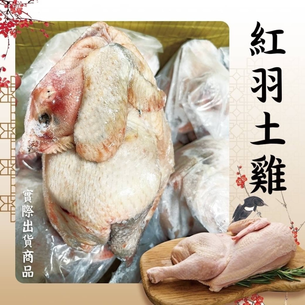 好神-國產紅羽土雞烏骨雞全雞(900g~1000g/隻)-細節圖2
