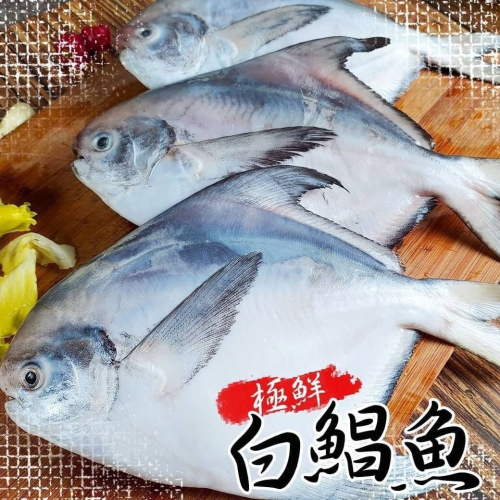 好神-白鯧魚(300g-400g/尾)