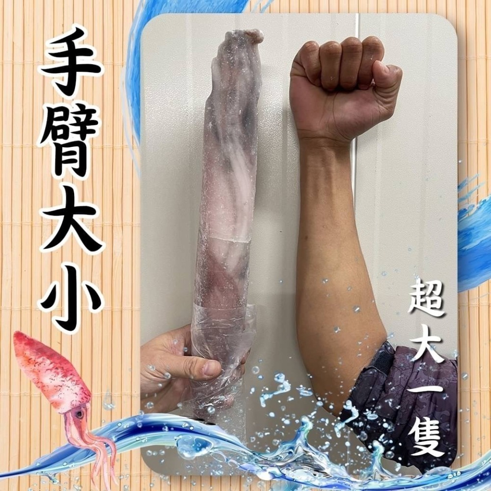 好神-巨無霸大砲管透抽(800g/尾)-細節圖2