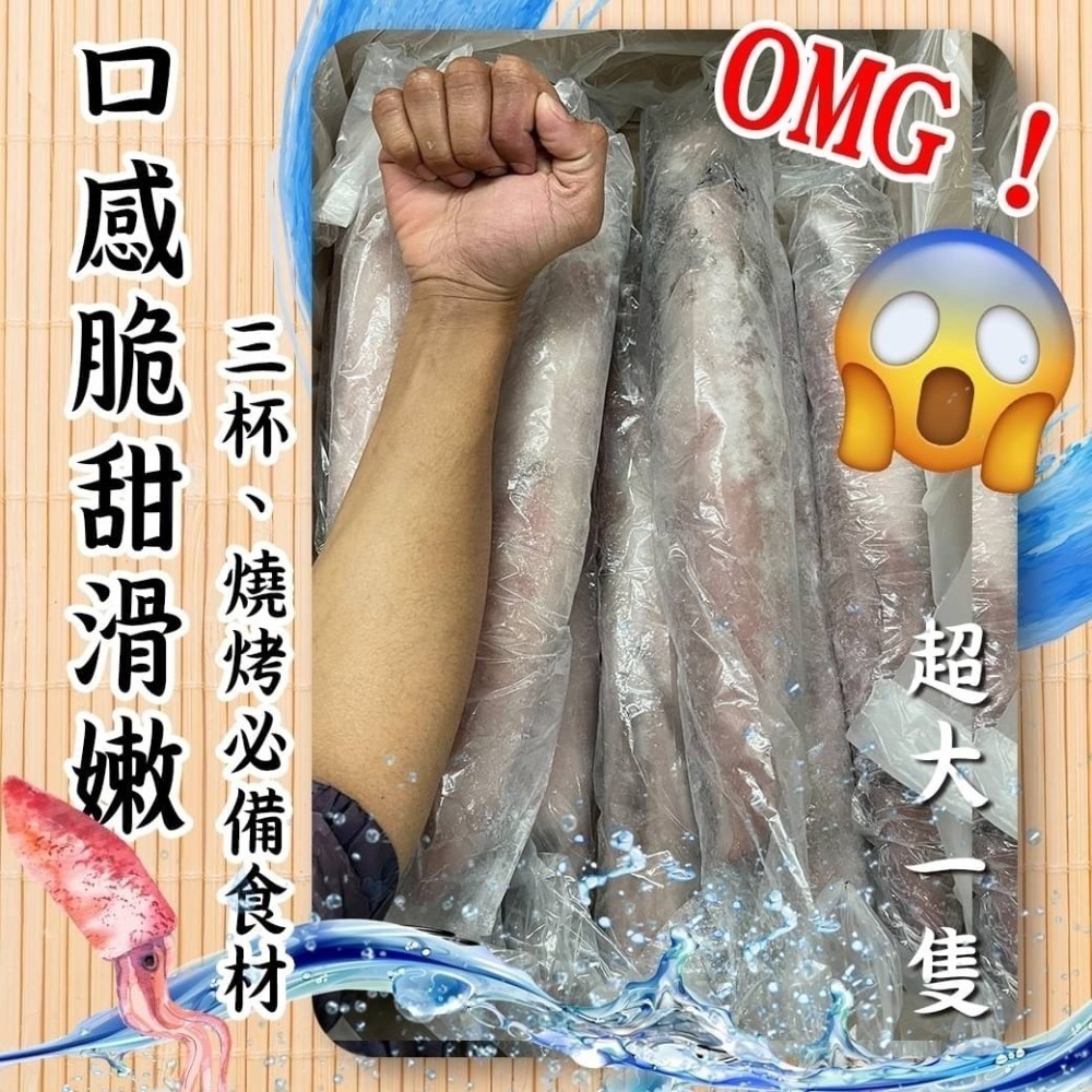 好神-巨無霸大砲管透抽(800g/尾)-細節圖3