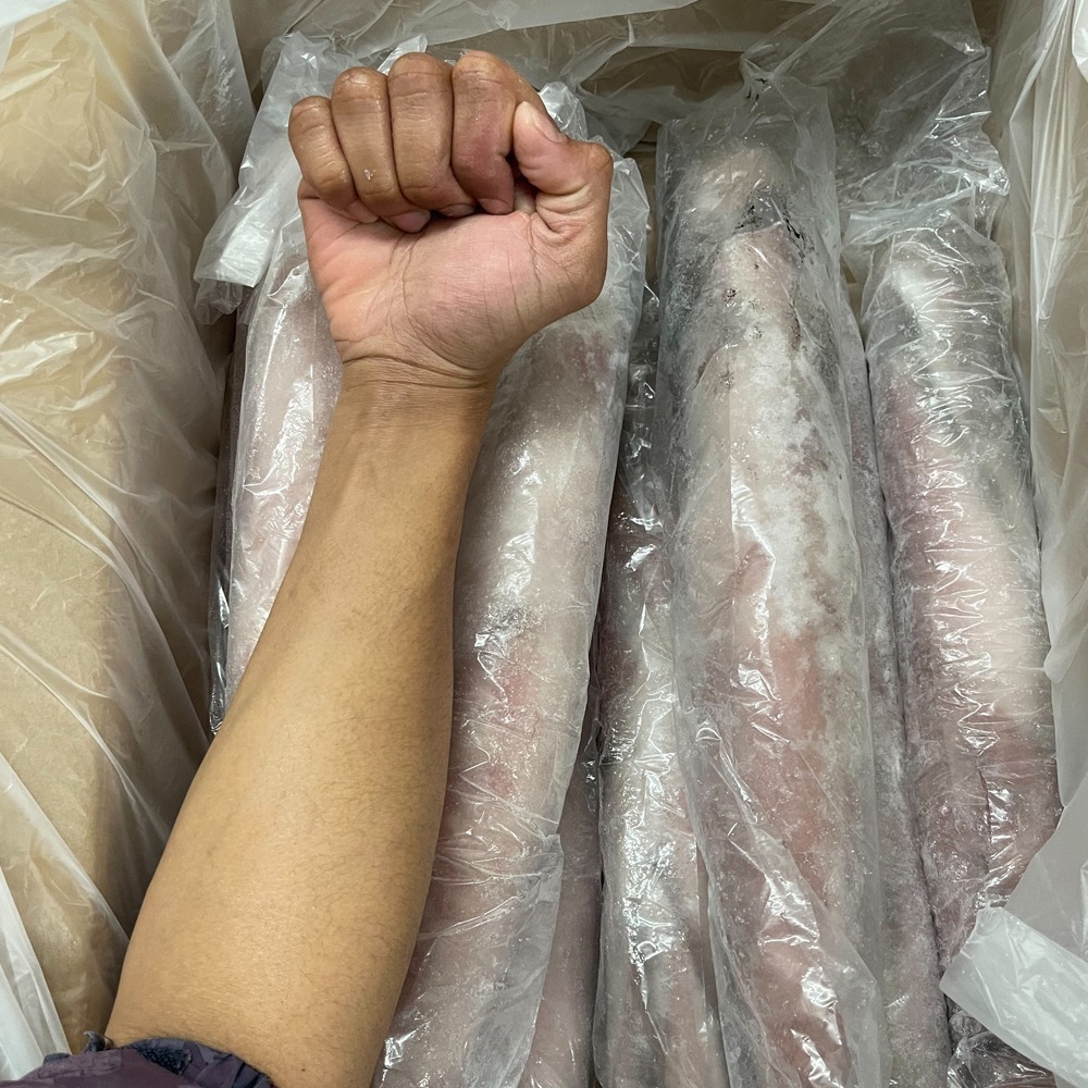 好神-巨無霸大砲管透抽(800g/尾)-細節圖6