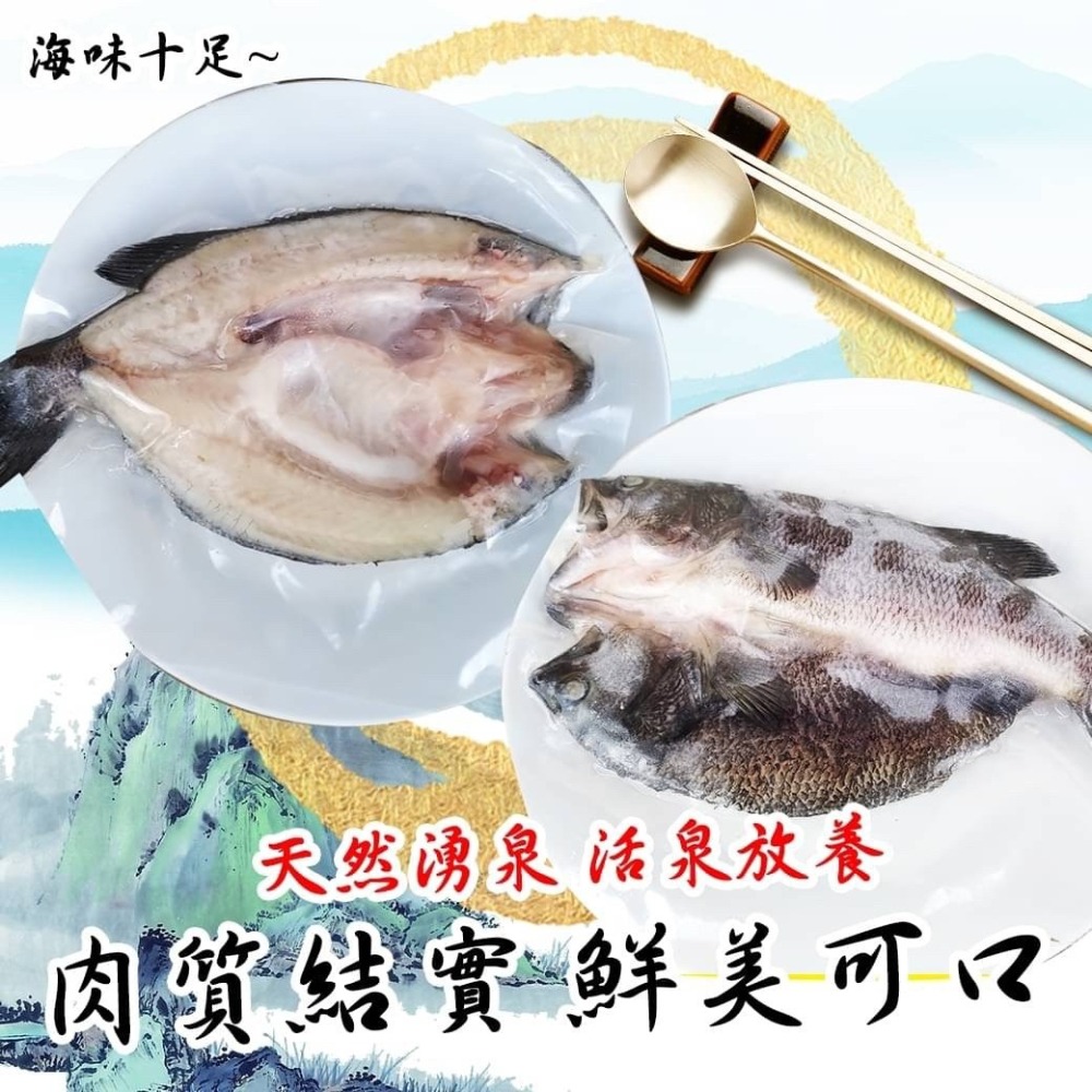 好神-台灣山泉鱸魚(400~500g/尾)-細節圖2