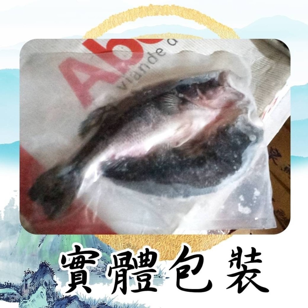 好神-台灣山泉鱸魚(400~500g/尾)-細節圖3