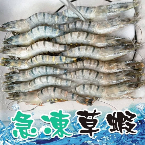 好神-南洋草蝦14尾(14尾/270g/盒)(14P)