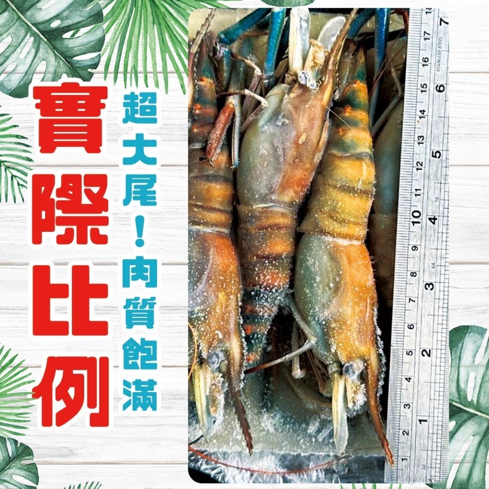 好神-泰國蝦(600g/12~13尾/盒)-細節圖2