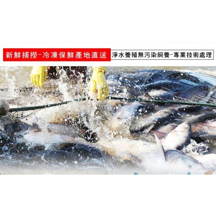 好神-台南去刺虱目魚肚(100g/片)-細節圖2