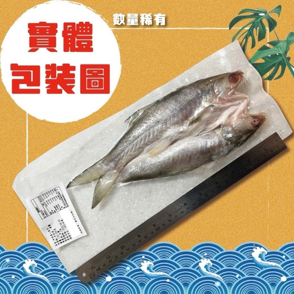 好神-午仔魚一夜干(150g-200g/尾)-細節圖2