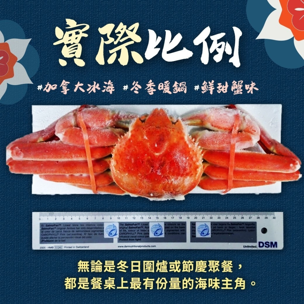 好神-加拿大熟凍松葉蟹(375g/隻)-細節圖2