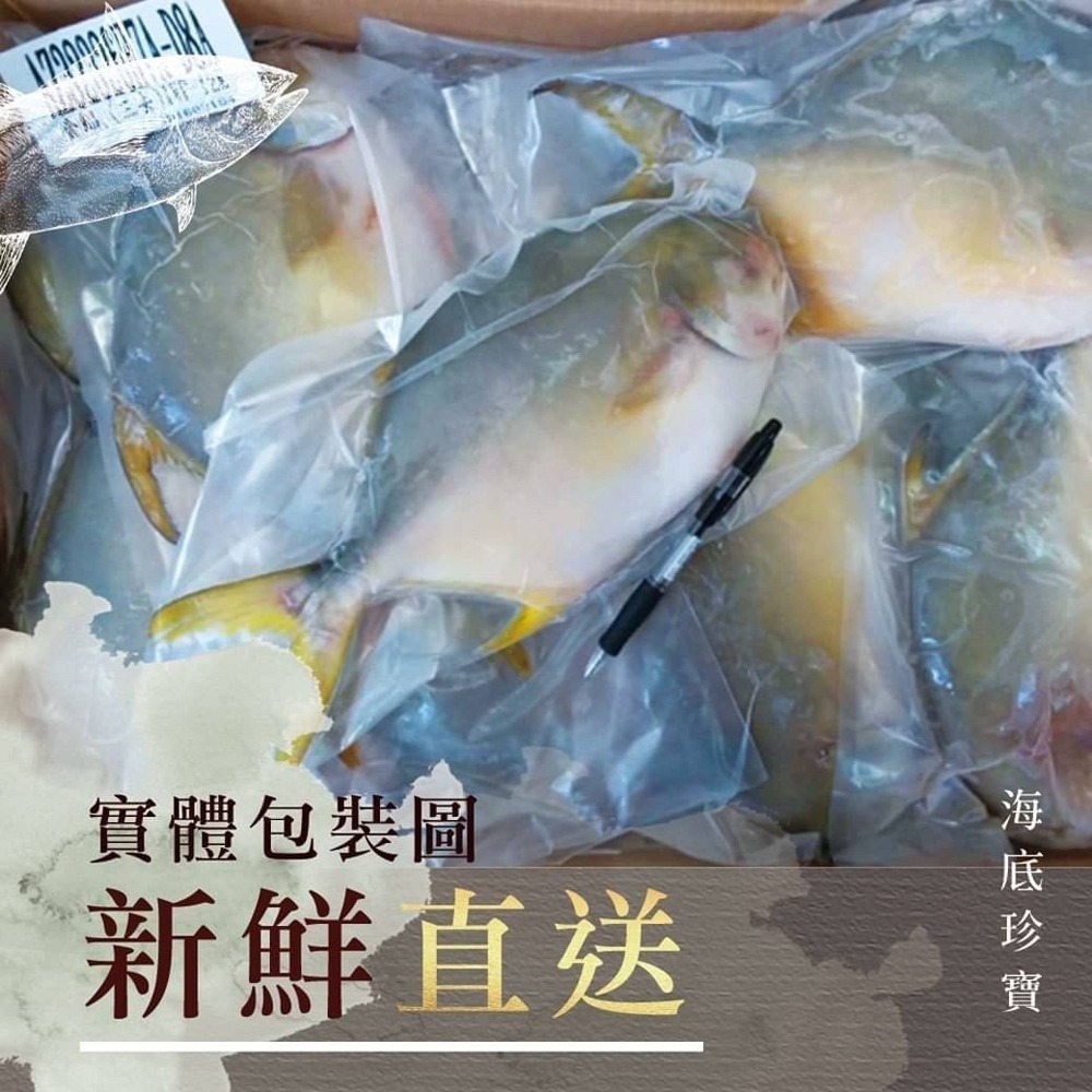 好神-台灣黃金鯧魚(600g~700g/尾)-細節圖3