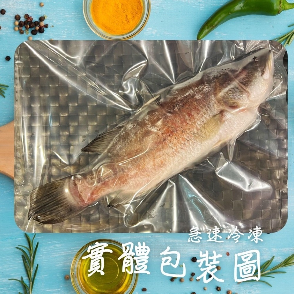 好神-屏東三去金目鱸魚(400g/尾)-細節圖2