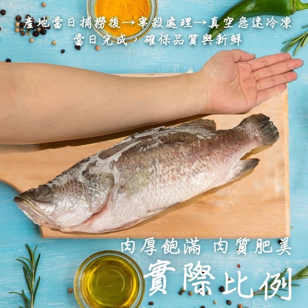 好神-屏東三去金目鱸魚(400g/尾)-細節圖3