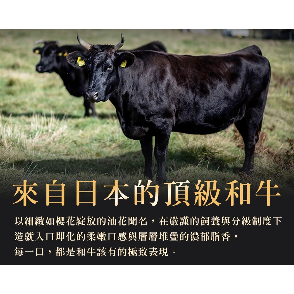 好神-稀有A5和牛1片159！日本鹿兒島A5和牛牛排(100g/片)-細節圖3