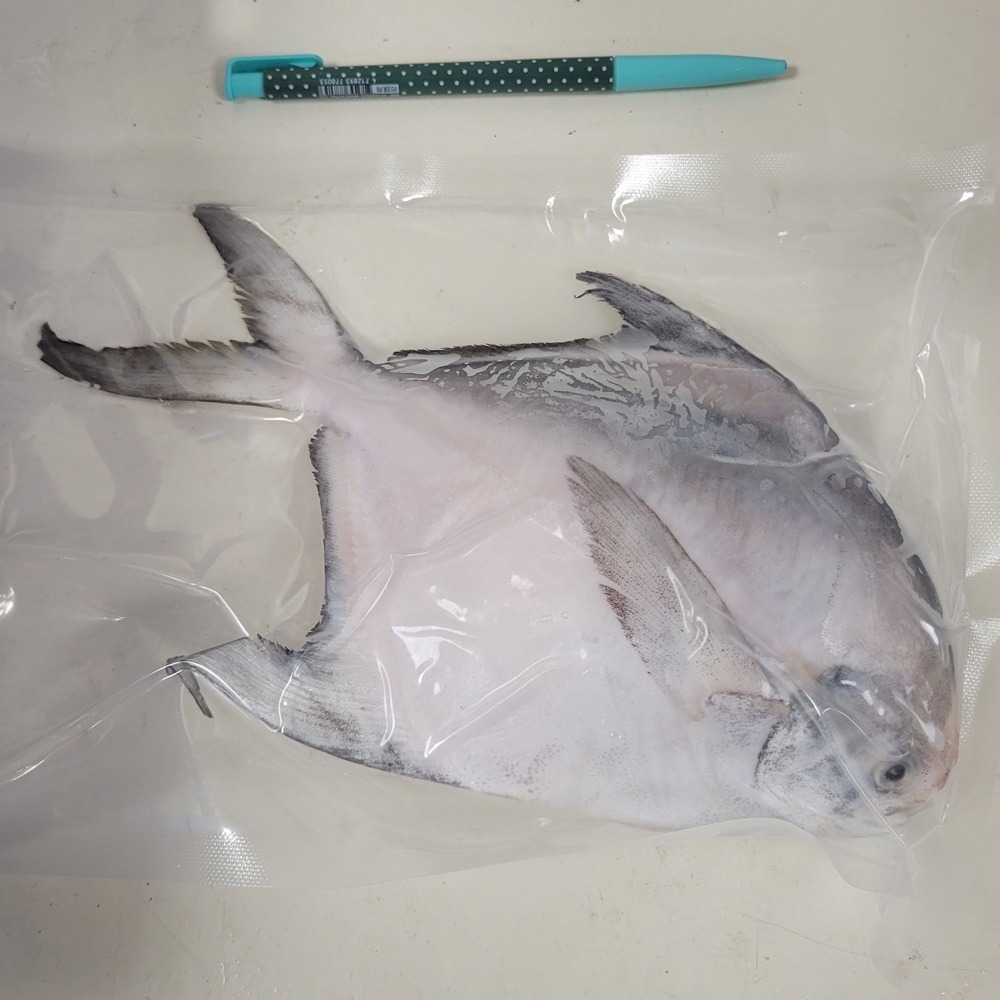 好神-白鯧魚(200g~300g/尾)-細節圖5