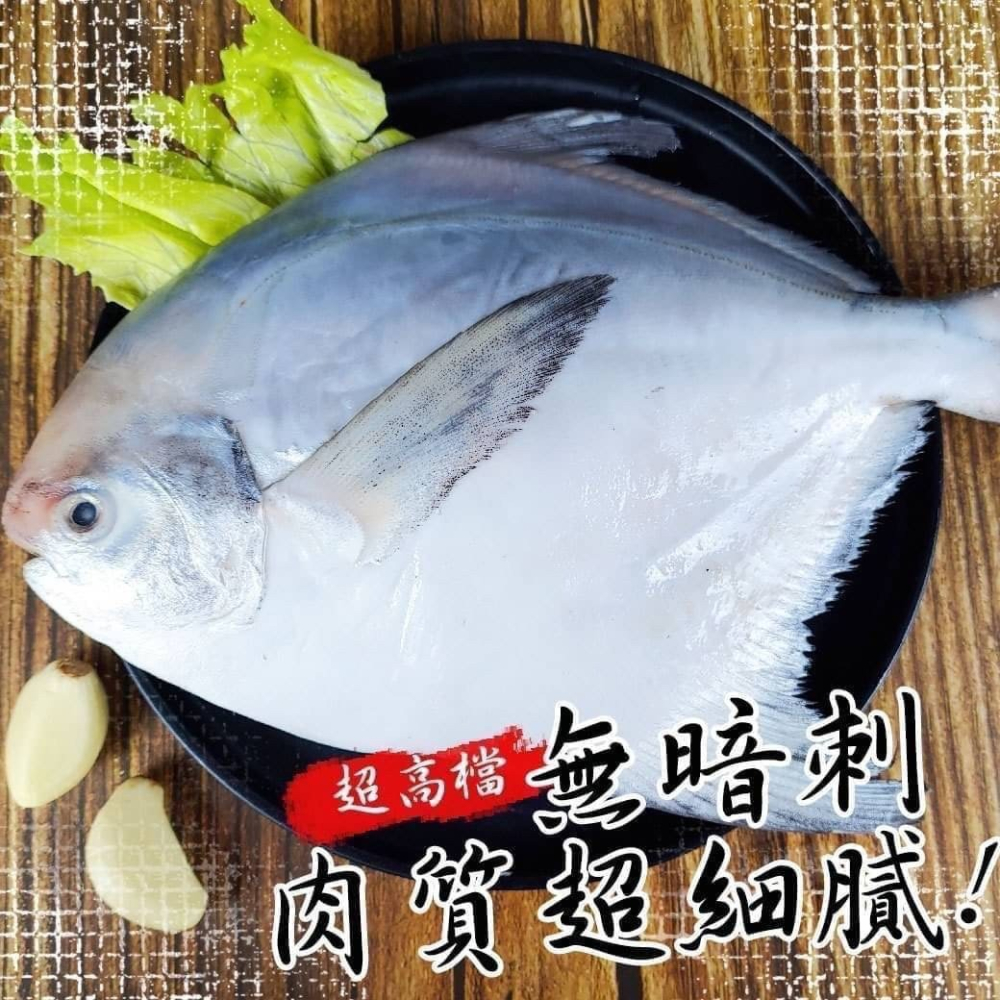 好神-白鯧魚(200g~300g/尾)-細節圖2