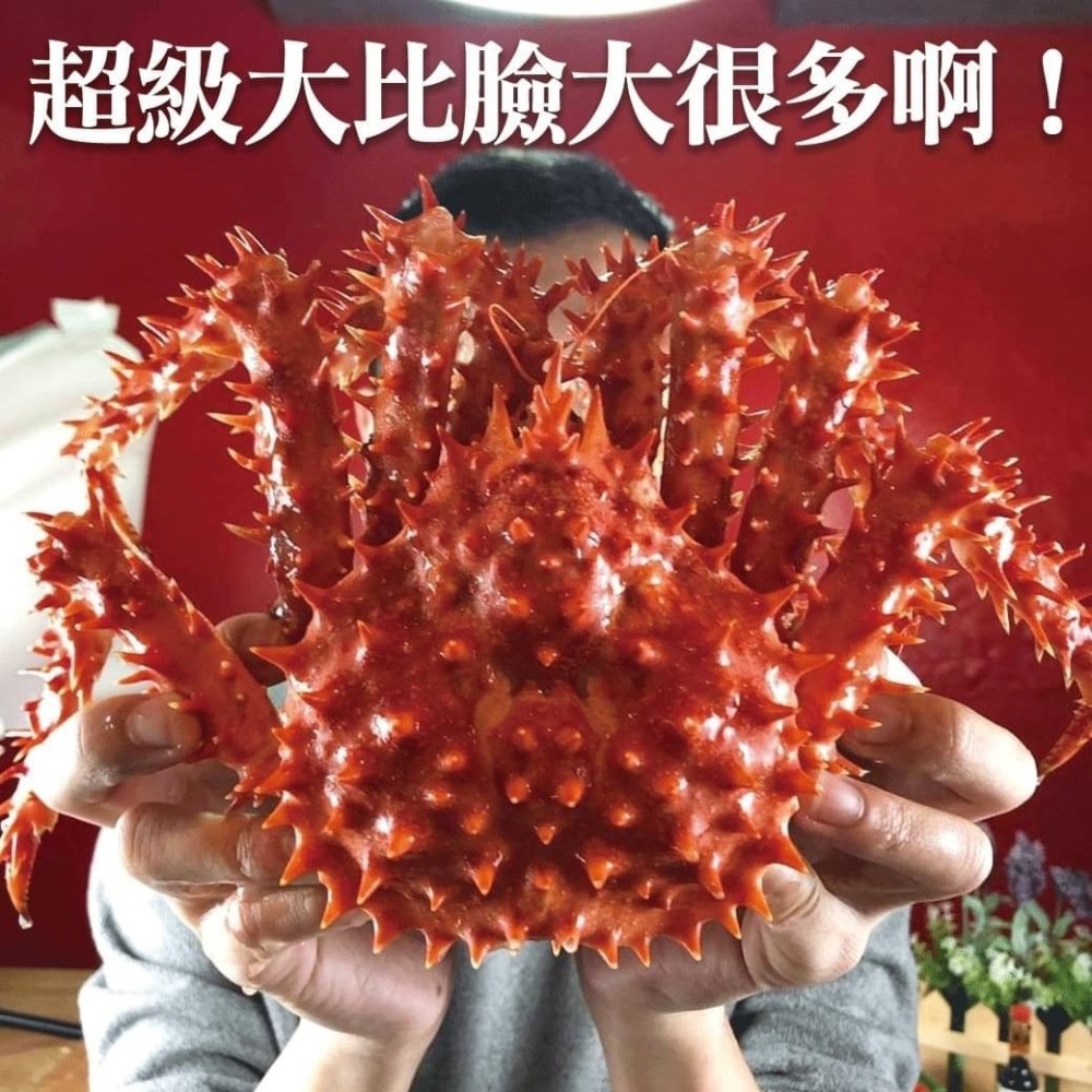 好神-熟凍智利帝王蟹(1000g~1200g/隻)-細節圖2