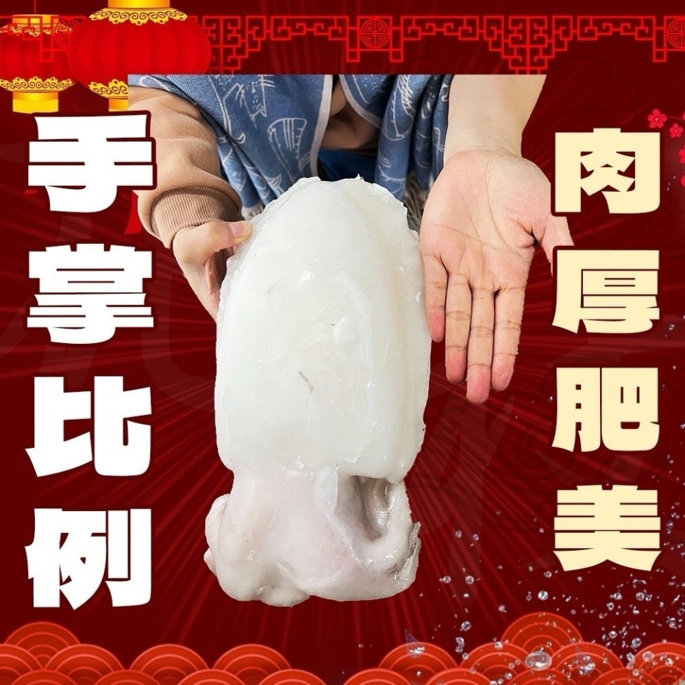 好神-巨無霸二去花枝(700g~1000g/尾)-細節圖2