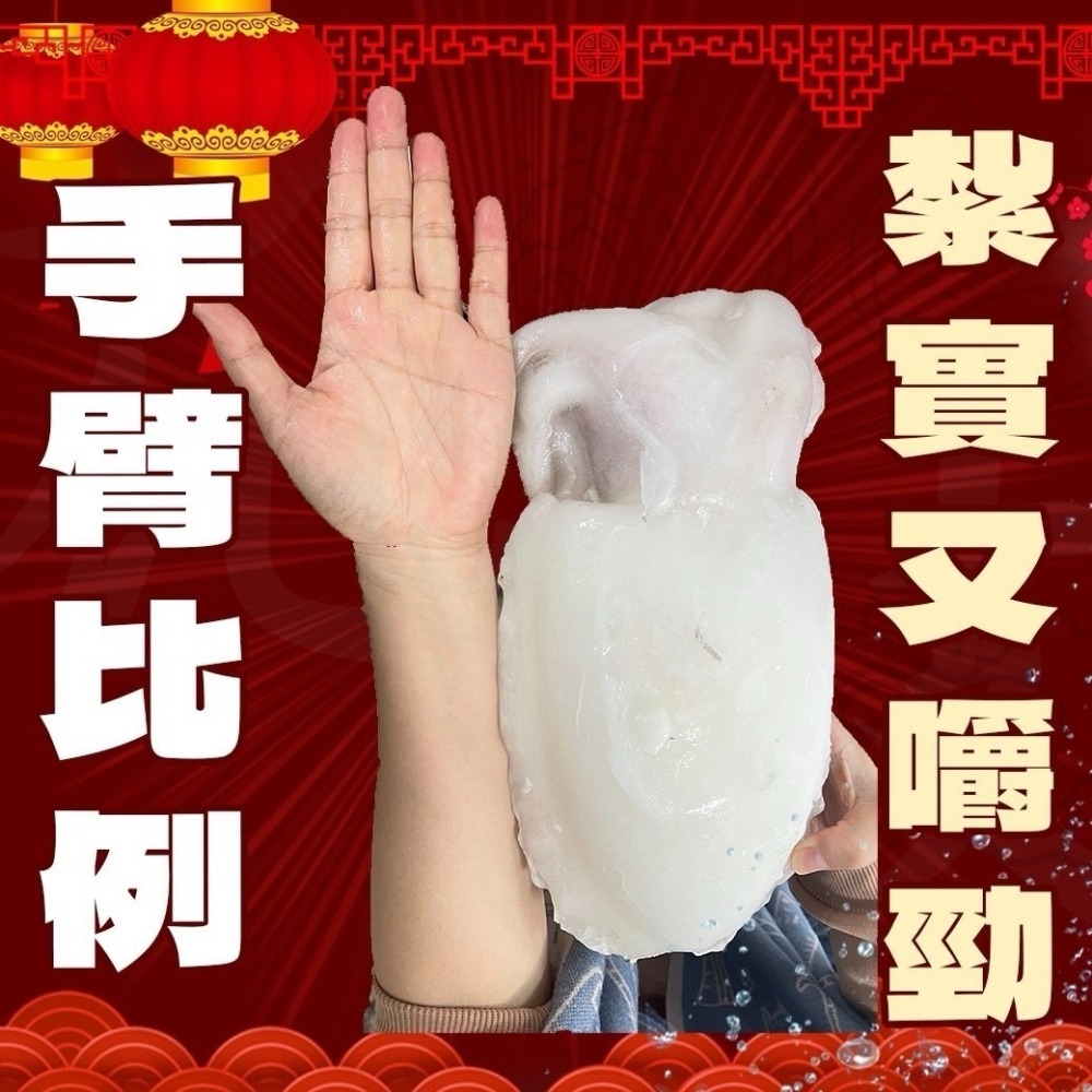 好神-巨無霸二去花枝(700g~1000g/尾)-細節圖4