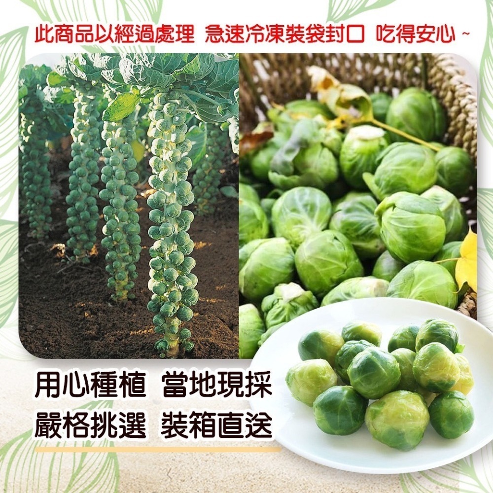 好神-比利時孢子甘藍(1000g/包)-細節圖2