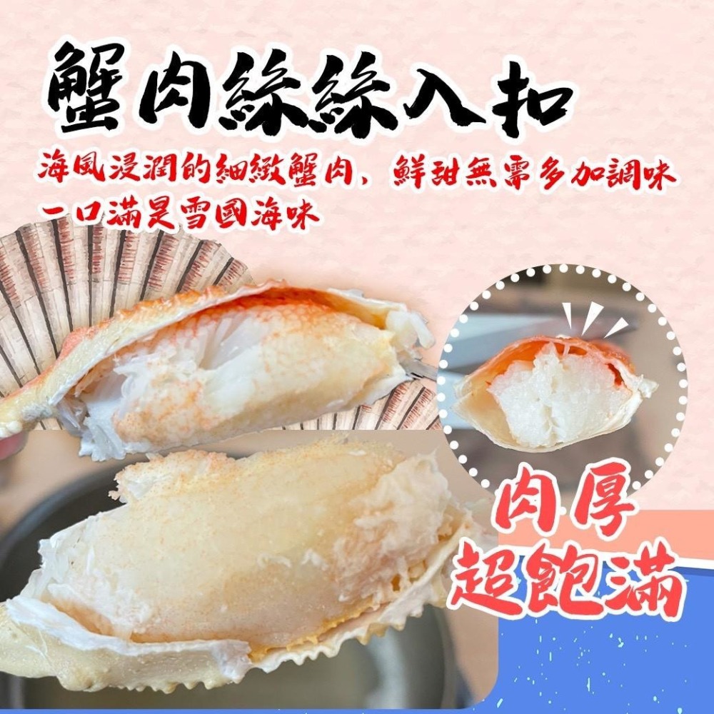 好神-北海道熟凍松葉蟹(375g~420g/隻)-細節圖2