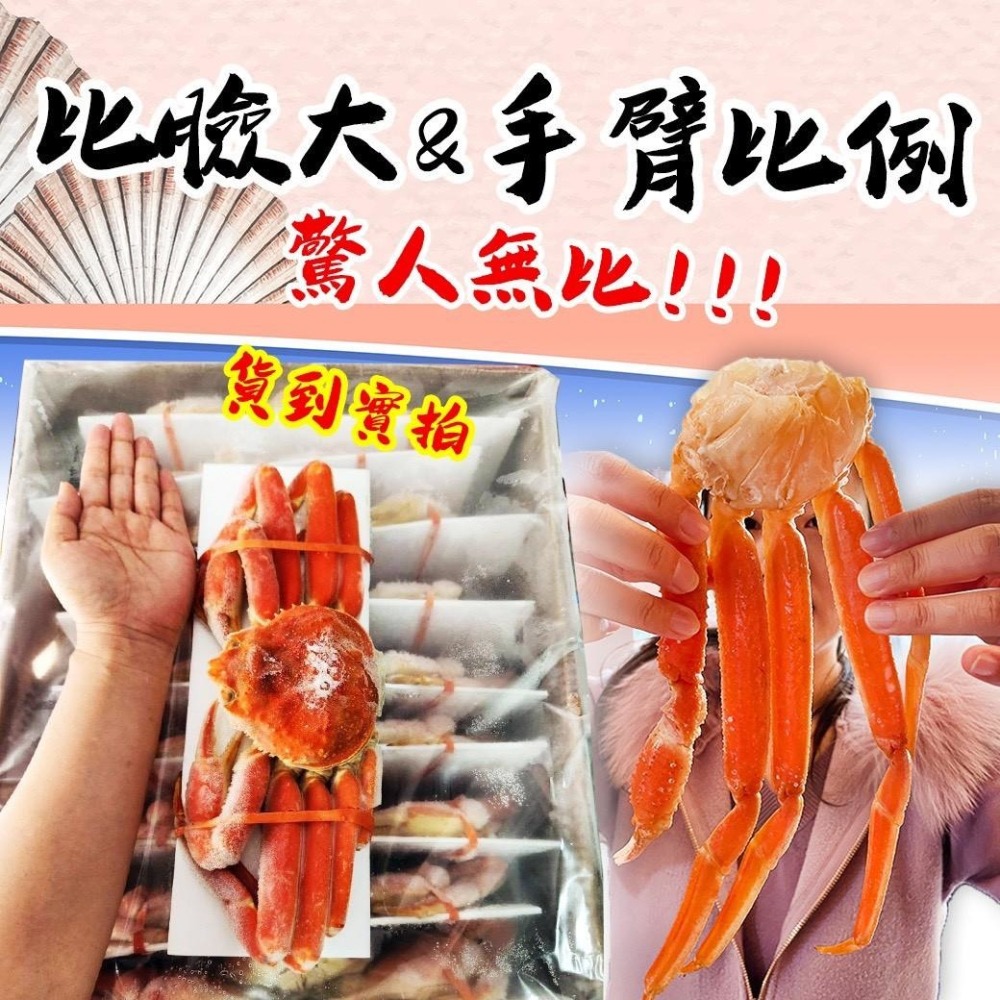 好神-北海道熟凍松葉蟹(375g~420g/隻)-細節圖4
