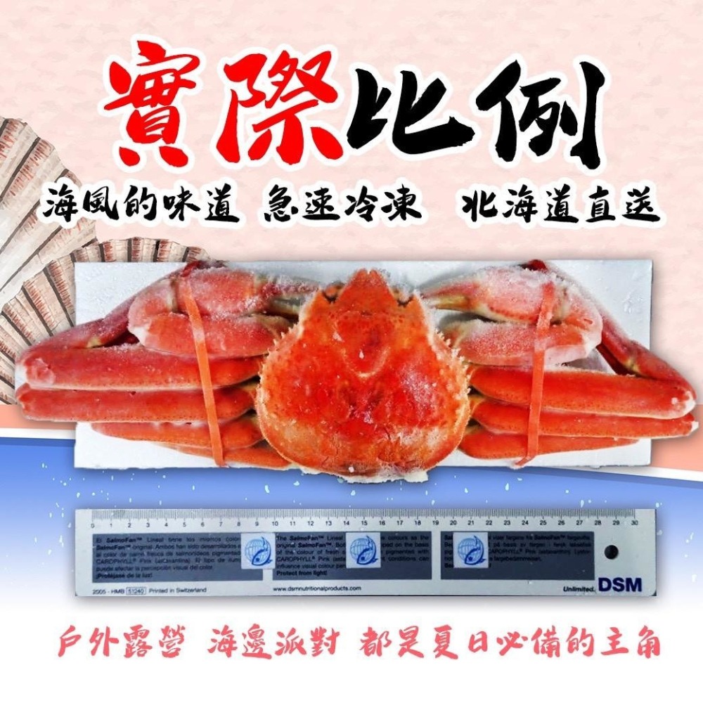 好神-北海道熟凍松葉蟹(375g~420g/隻)-細節圖5