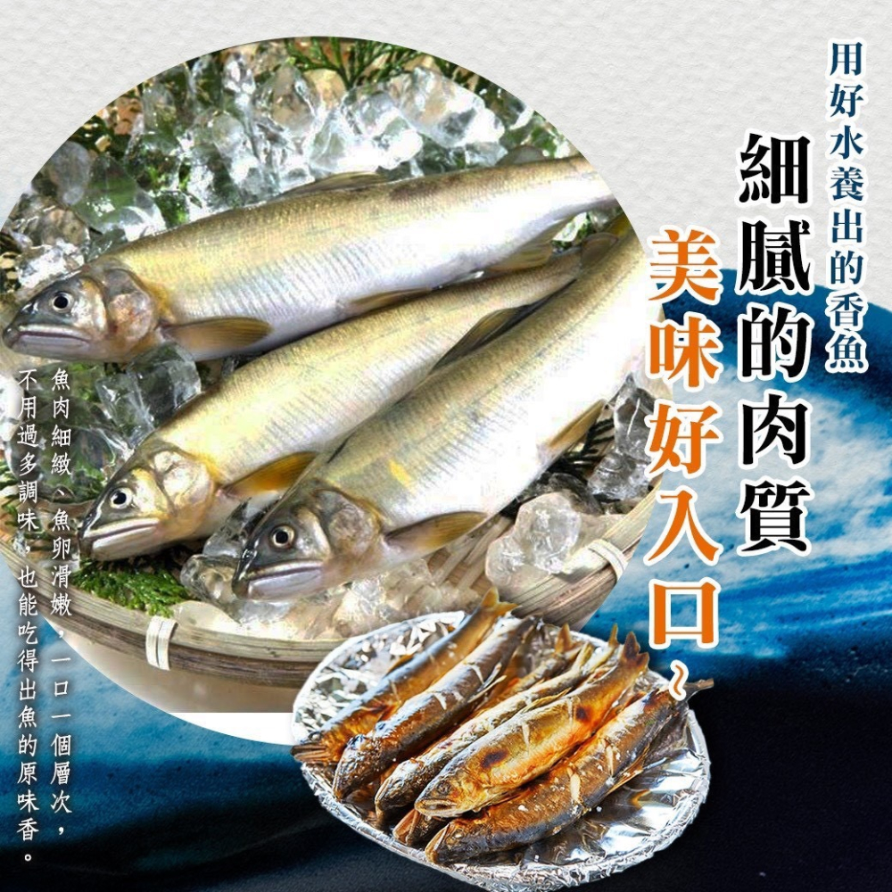 好神-台灣抱卵母香魚(220g/2尾/包)-細節圖4