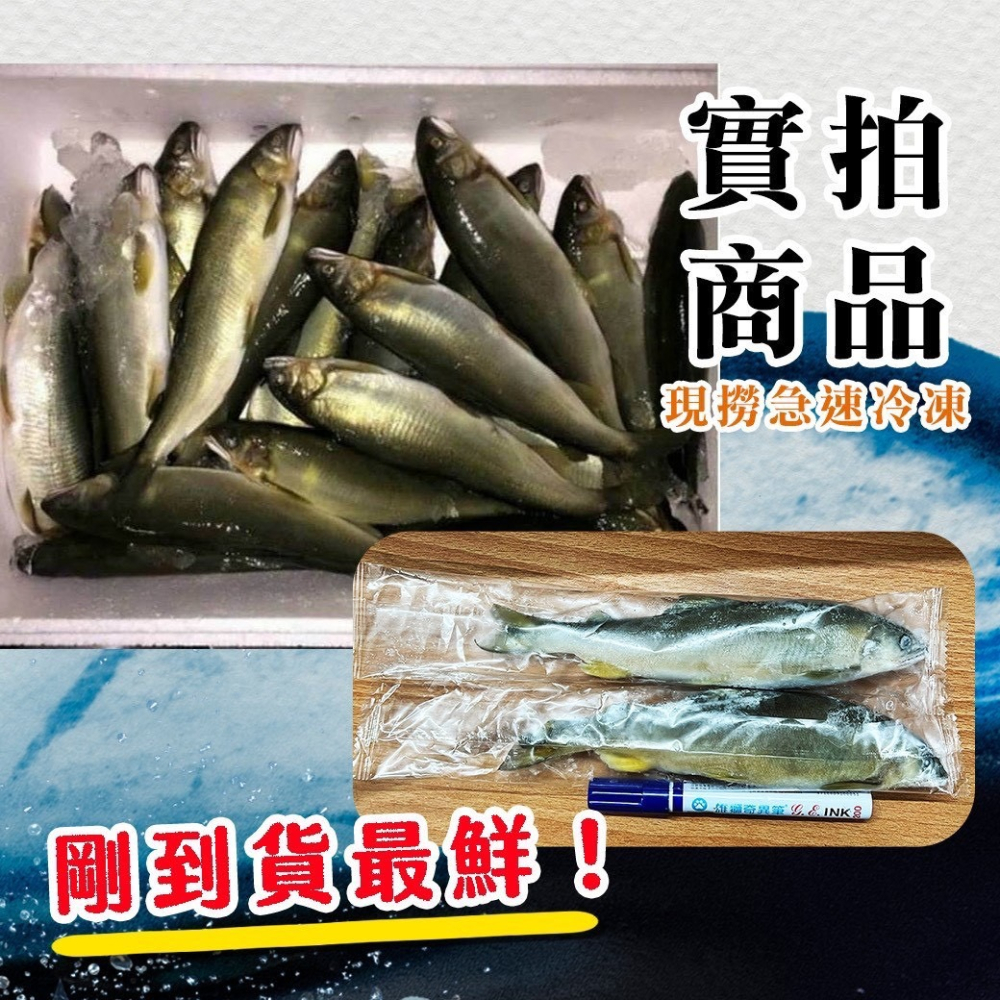 好神-台灣抱卵母香魚(220g/2尾/包)-細節圖5