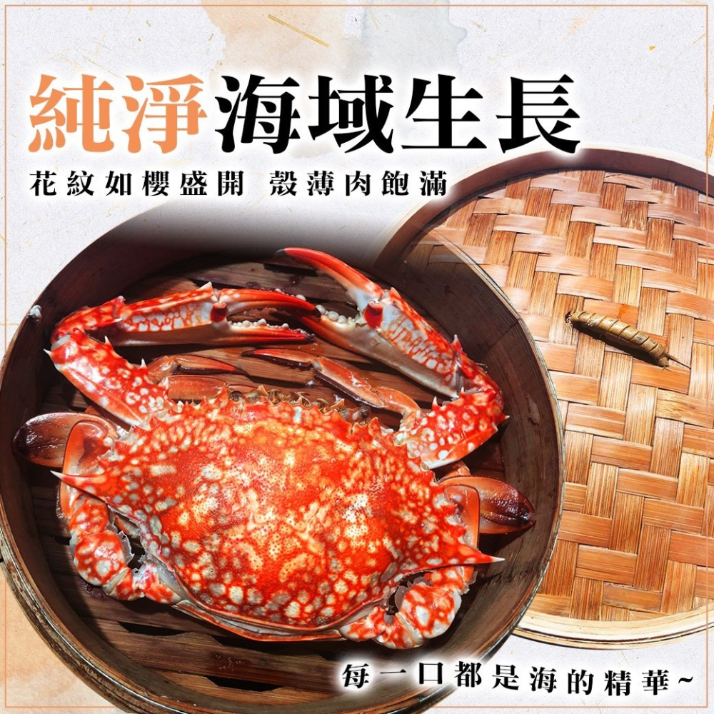 好神-斯里蘭花蟹櫻花蟹(150g~200g/隻)-細節圖3