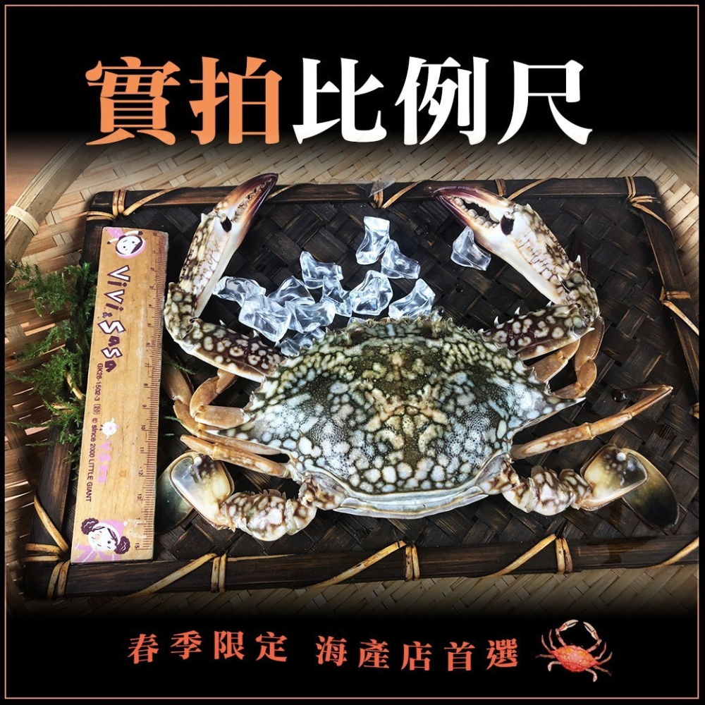 好神-斯里蘭花蟹櫻花蟹(150g~200g/隻)-細節圖6