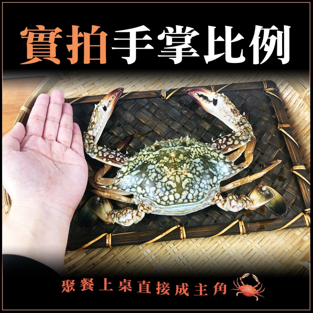 好神-斯里蘭花蟹櫻花蟹(150g~200g/隻)-細節圖7