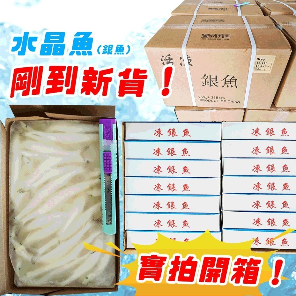 好神-野生水晶魚銀魚(250g/盒)-細節圖4