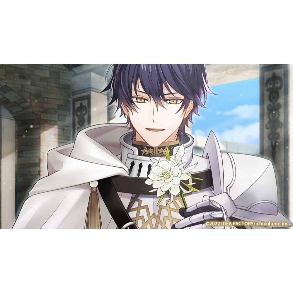 【優格米電玩內湖】【乙女戀愛遊戲】【NS】提米拉納國的好運公主與衰運騎士團《中文版》-細節圖4