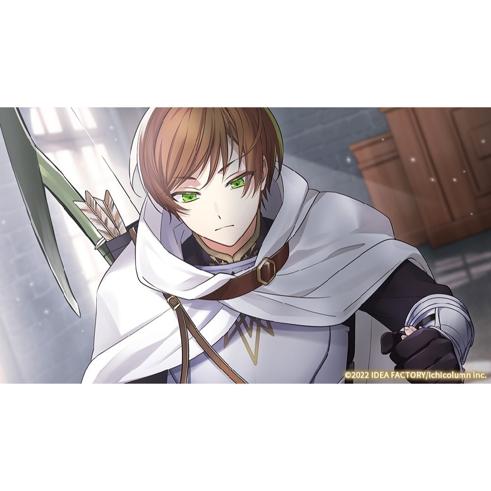 【優格米電玩內湖】【乙女戀愛遊戲】【NS】提米拉納國的好運公主與衰運騎士團《中文版》-細節圖8