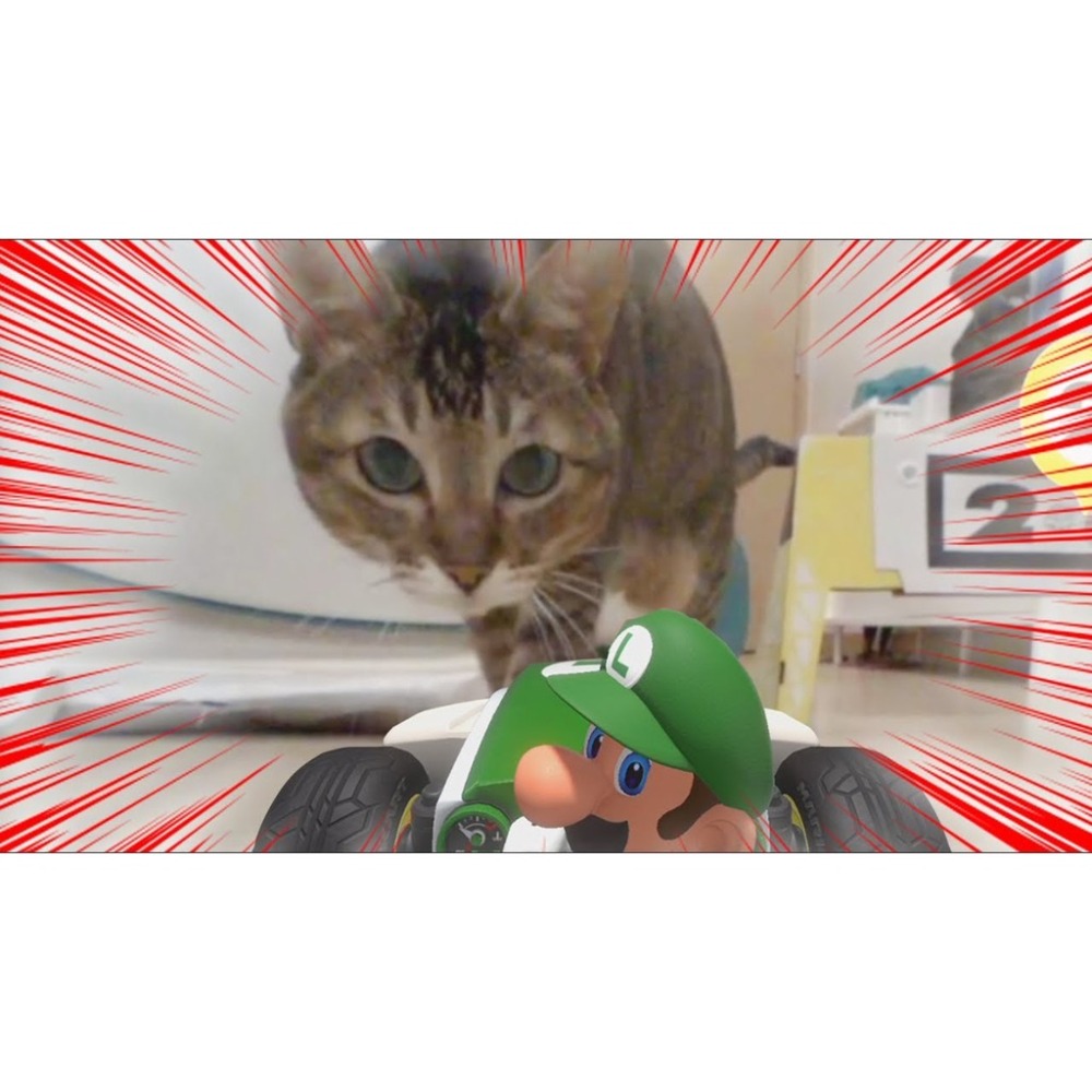 【優格米電玩內湖】【NS】瑪利歐賽車實況：家庭賽車場 (實體遙控車 AR 電玩遊戲) 瑪利歐 路易吉-細節圖3