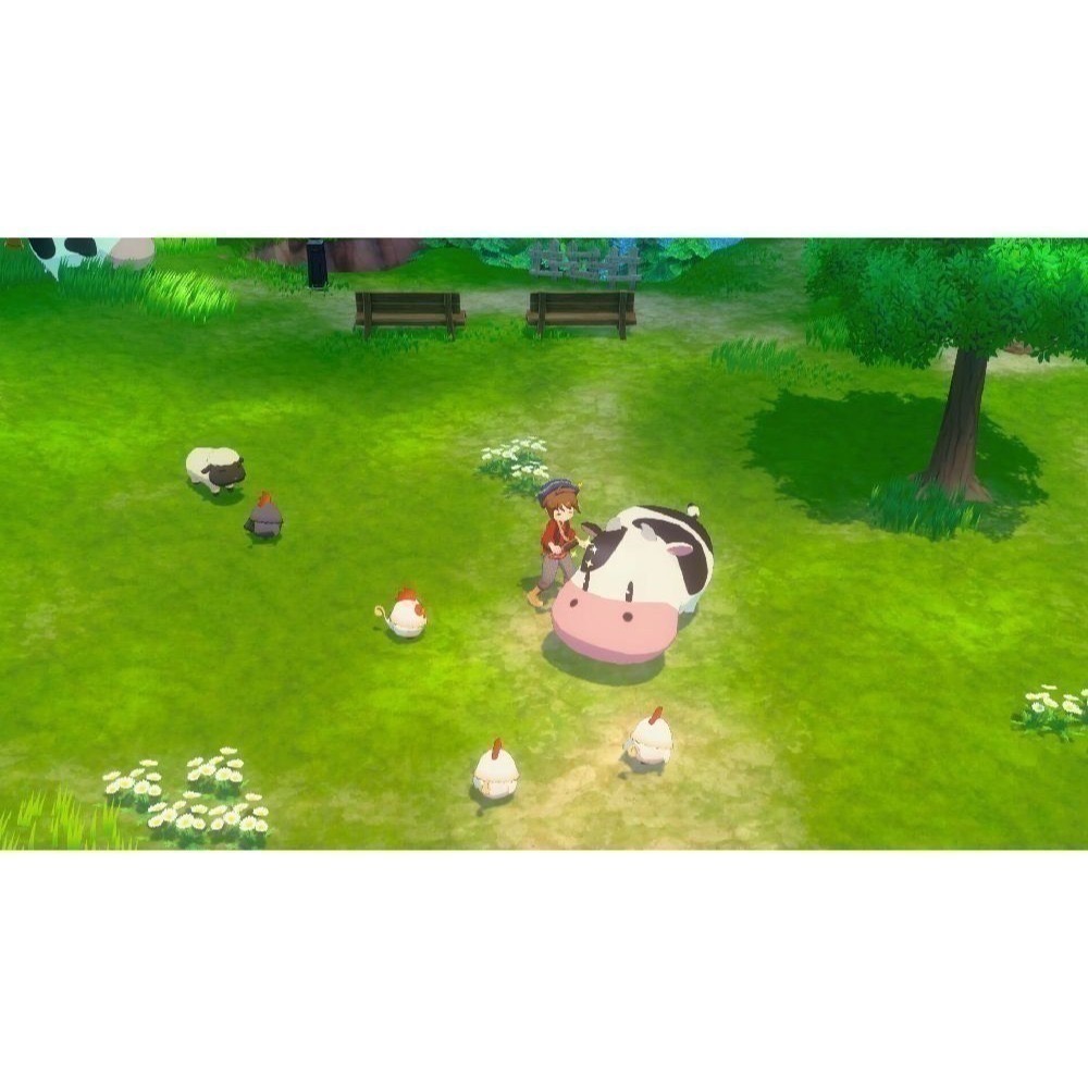 【優格米電玩內湖】【NS】牧場物語 來吧！風之繁華市集 一般版《中文版》-細節圖4