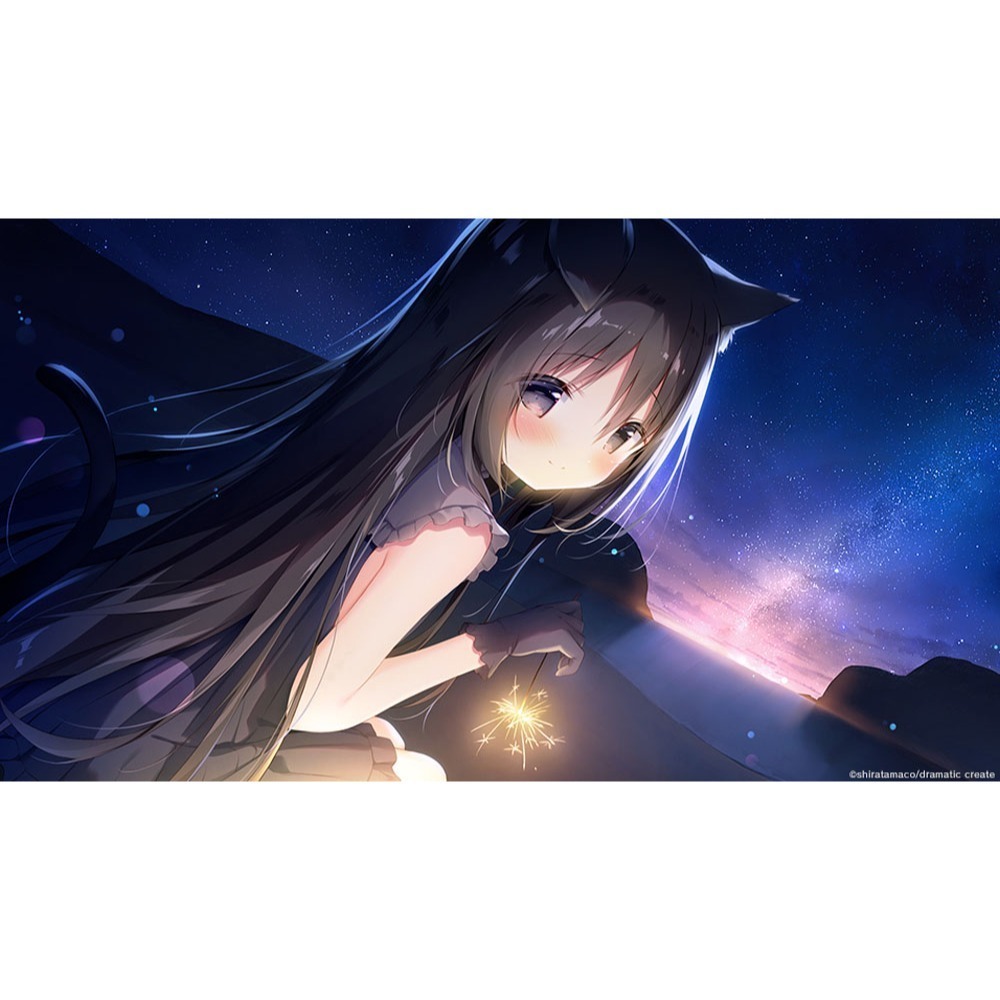 【優格米電玩內湖】【預購】【NS】星空列車與白的旅行 一般版 限定版《中文版》-2025-11-25上市-細節圖4