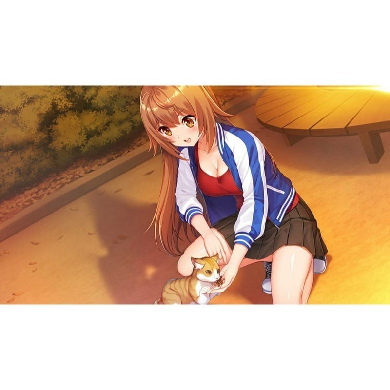 【優格米電玩內湖】【預購】NS Switch Days Collection 秋葉原戀愛三部曲 中文版-細節圖5
