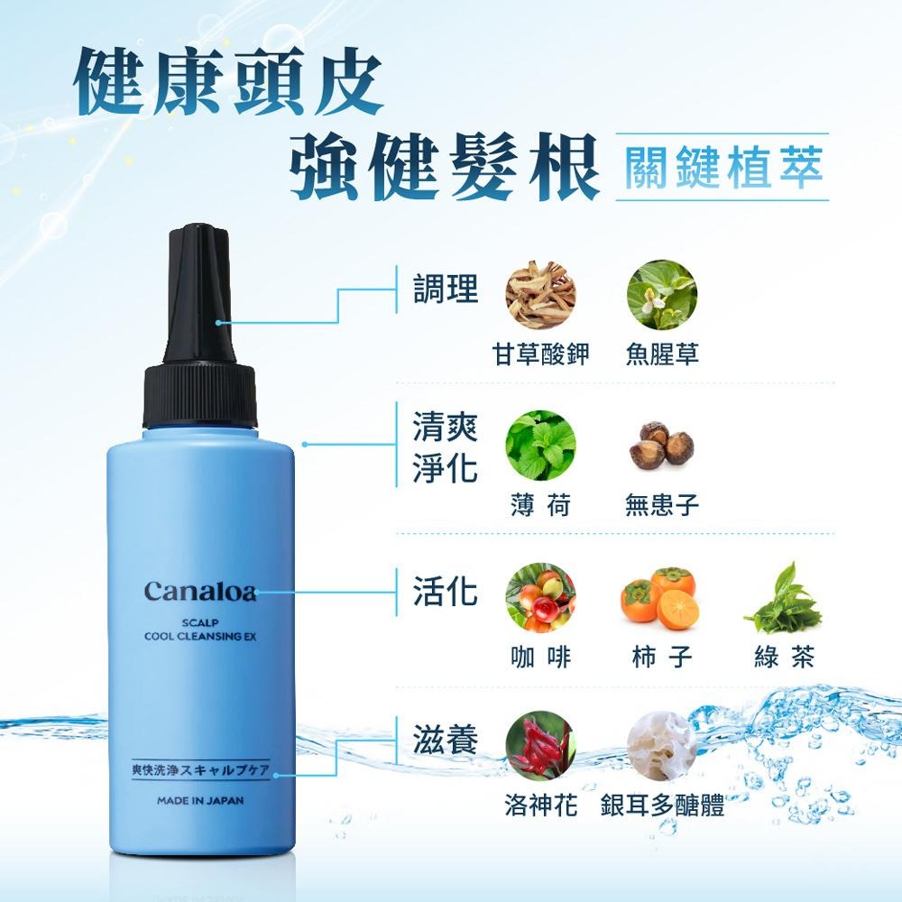 【Jollyard 潔麗雅】Canaloa 頭皮沁涼角質調理液 150ml-細節圖3